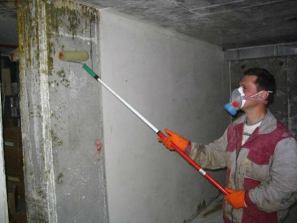 Påføring av soppdrepende stoffer på veggene i en kjeller