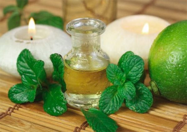 L'huile de menthe poivrée aidera à se débarrasser de l'odeur