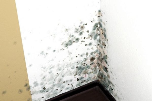 Molde na parede do banheiro