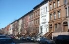 New York City Housing Authority netestoval olovo