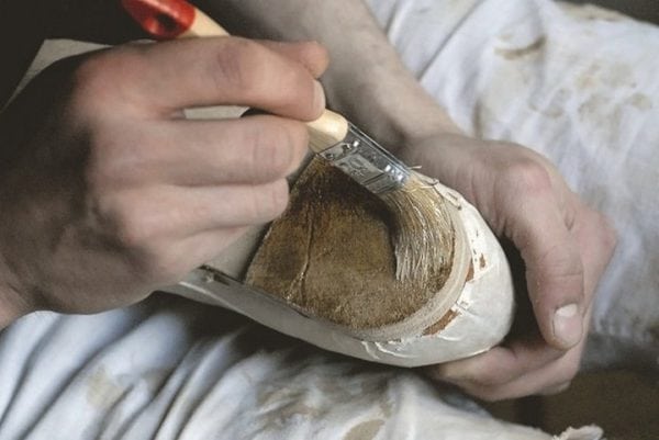Reparação de calçado com Desmokol