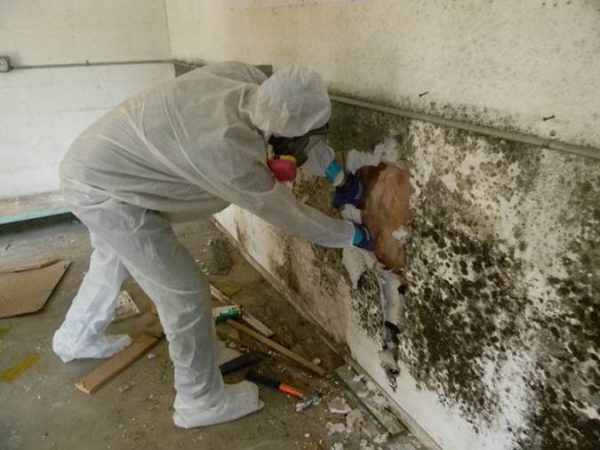 For å bli kvitt mugg på veggene må ofte fjerne etterbehandlingsmaterialer