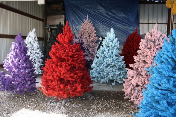 Akrylmalte juletrær kan stå i flere måneder