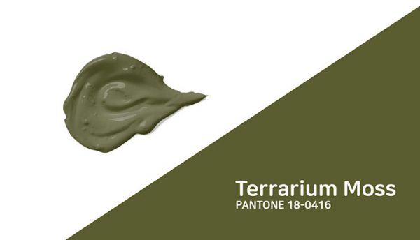 Terrarium Moss โดย Panton