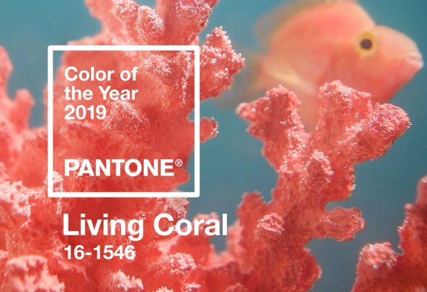 Żywy koralowy kolor 2019