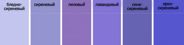 Noms des variétés de lilas