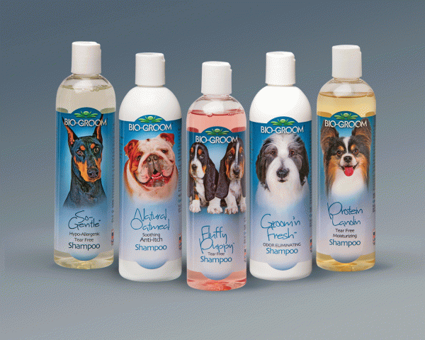 Pour nettoyer la fourrure, vous pouvez utiliser des shampooings animaux