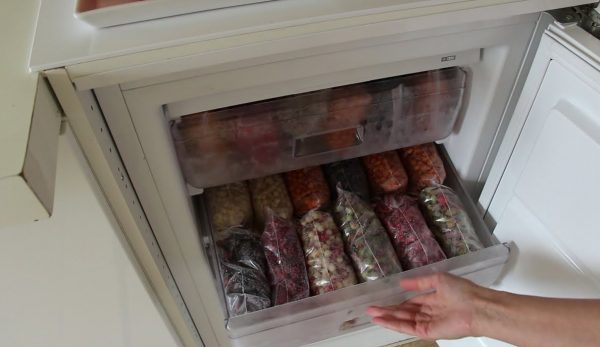 Armazenamento de produtos caseiros no congelador