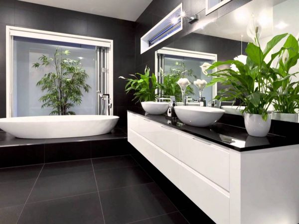Plantes pour la salle de bain