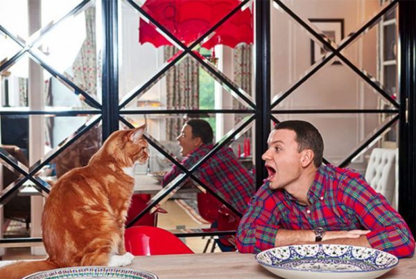 Aleksandras Oleshko virtuvėje su savo raudona katė