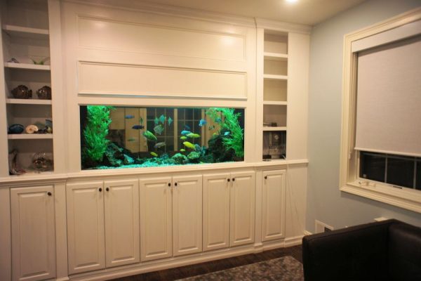 Aquarium de meubles intégré