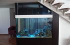 Дизайн на интегриран аквариум в интериора