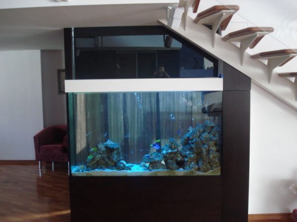 Dizajn integrovaného akvária v interiéri