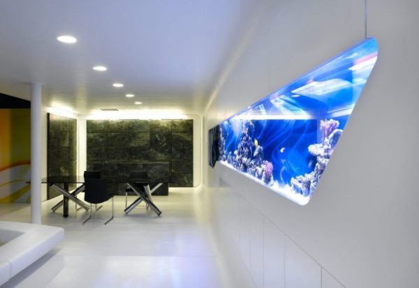 Високотехнологичен дизайн на аквариум