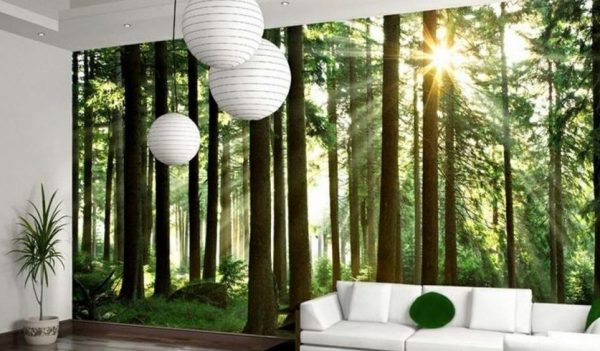Les na tapetu v interiéru obývacího pokoje