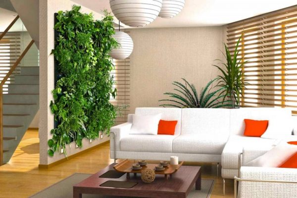 Rostliny na zdi v obývacím pokoji