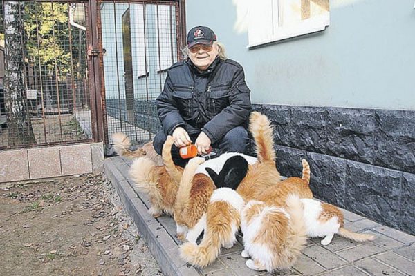 Koty Jurija Antonowa w kraju