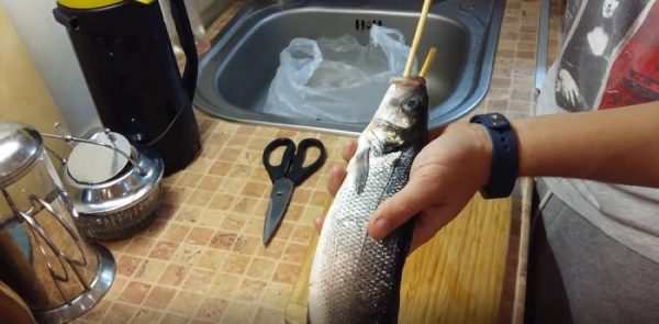 Čistenie rýb dvoma palicami