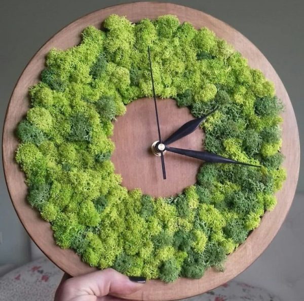 Laikrodis pagamintas iš medžio ir samanų